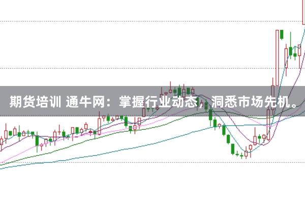 期货培训 通牛网：掌握行业动态，洞悉市场先机。