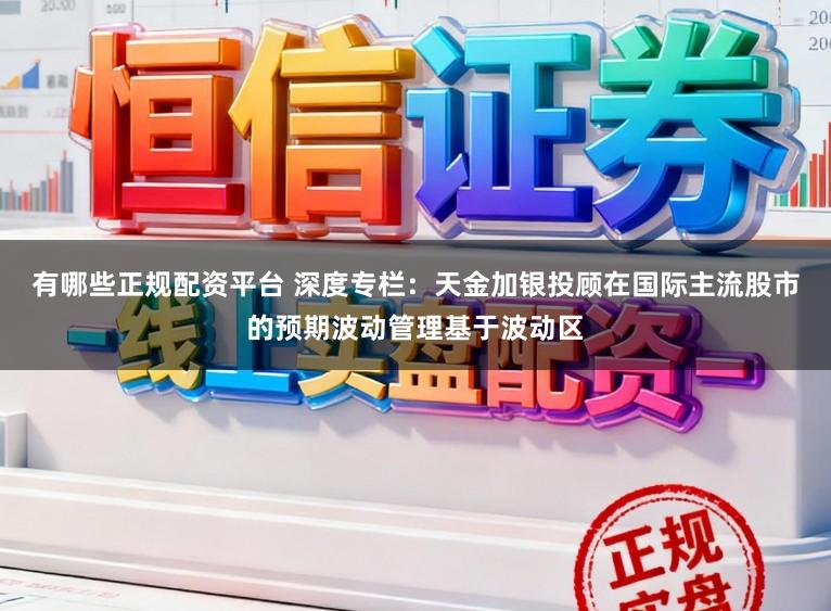 有哪些正规配资平台 深度专栏：天金加银投顾在国际主流股市的预期波动管理基于波动区