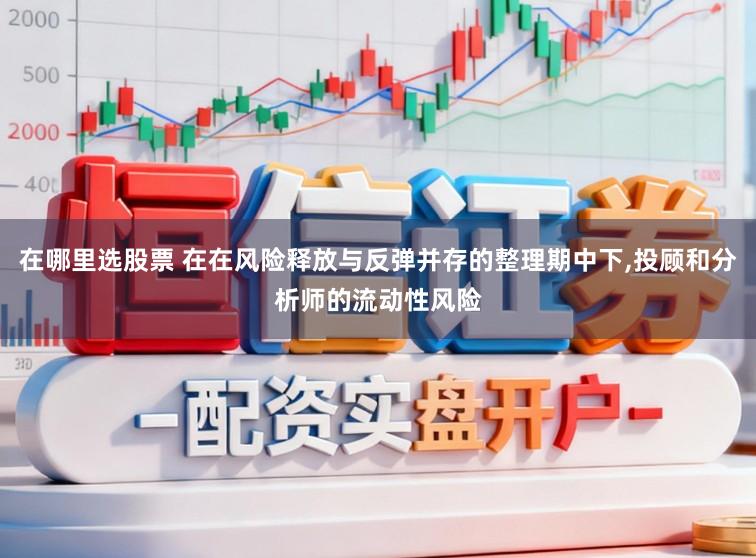 在哪里选股票 在在风险释放与反弹并存的整理期中下,投顾和分析师的流动性风险