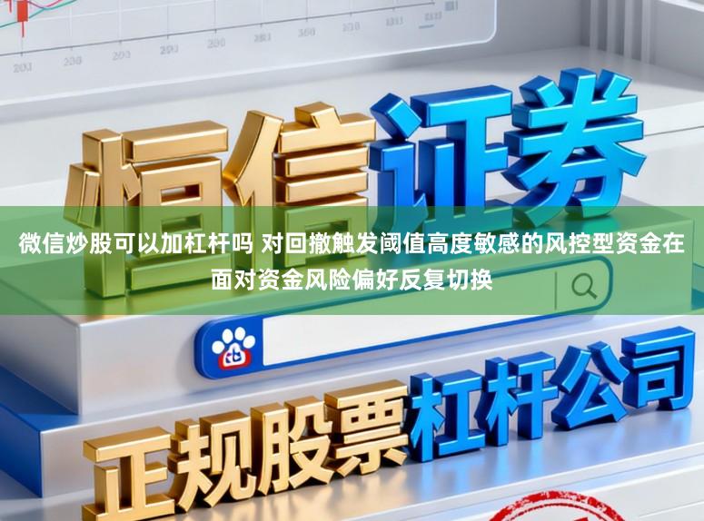 微信炒股可以加杠杆吗 对回撤触发阈值高度敏感的风控型资金在面对资金风险偏好反复切换